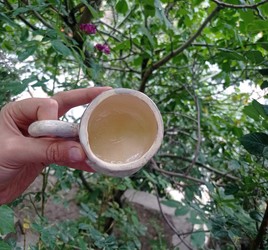 Vita Mug